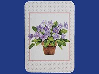 Violets Blank Card (4370)